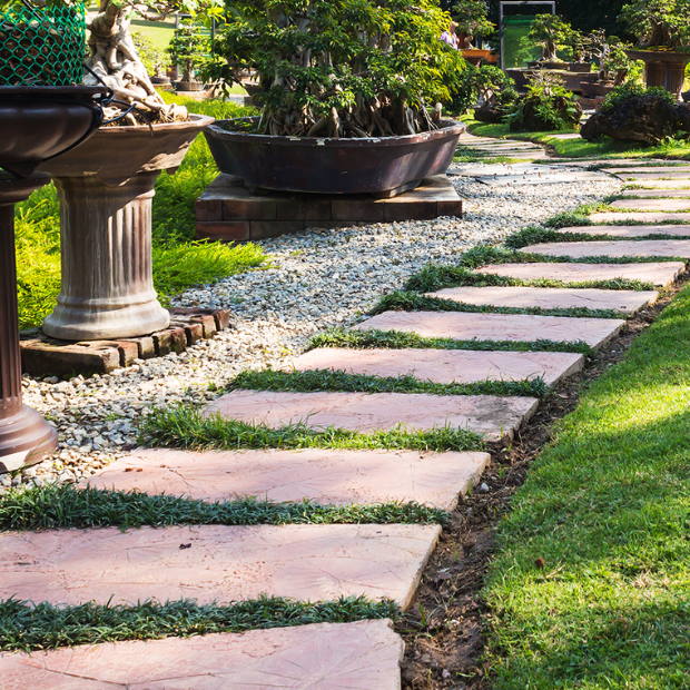 Landscaping & Outdoor Construction